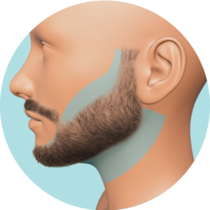 Definición de Barba